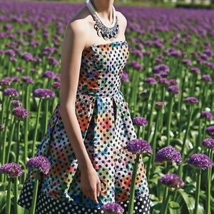 Corey Lynn Calter Lavendel Anthropologie Dress